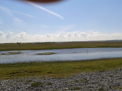 Photo de Gites du Marronnier **** à Saint-Quentin-la-Motte-Croix-au-Bailly (80880)