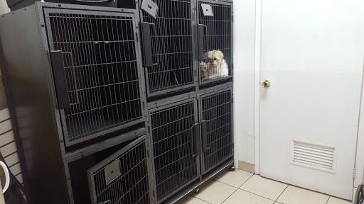 Perrynice Clinica Veterinaria
