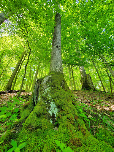 Oak Hill Campground - Thumbnail