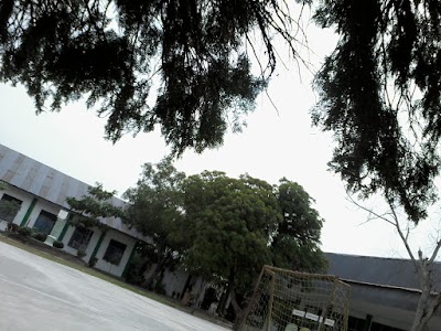 school