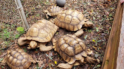 Chestatee Wildlife Preserve & Zoo