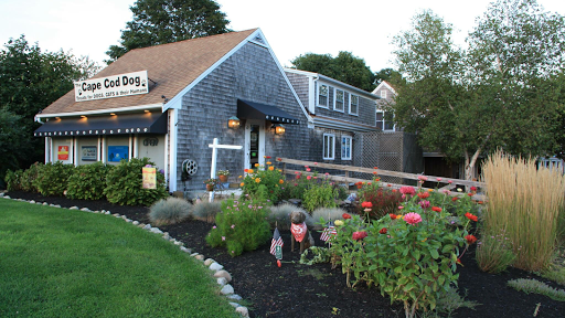 Cape Cod Dog - Visual