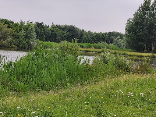 Recreatiepark De Lingebrug - Thumbnail
