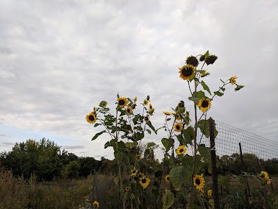 Wildflower Grove Park