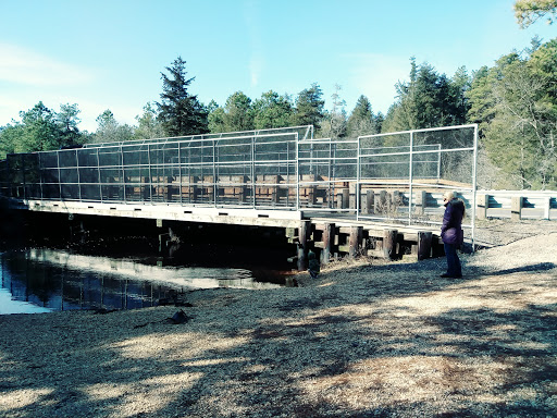 Evans Bridge - Visual