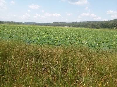 Big Lake Park