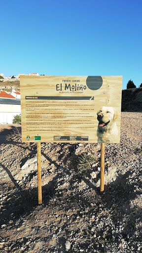 El Molino Parque Canino - Thumbnail