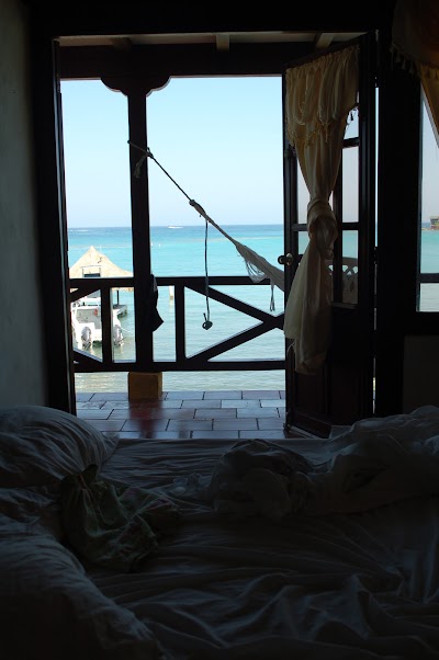 Photos of Eco-hotel La Cocotera