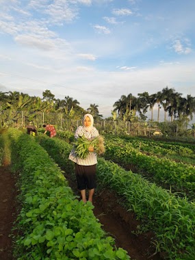 Villa Juragan, Author: Andri Saputra