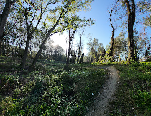 MTB Track Cremona - Italy