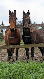 Photo n°27 de Le Haras d Havetot & SPA - Gîte et chambres d'hôtes avec piscine et centre de bien-être à Aurseulles (Centre de bien-être)