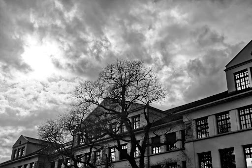 Nordstadtschule Gemeinschaftsschule - Thumbnail
