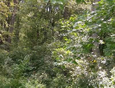 Blackstone River Valley Bike Path Parking