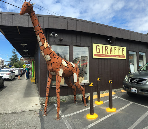 GIRAFFE - Visual