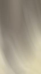 Photo n°36 de LE SOLEIL Phnom Penh à Saint-Raphaël (Restaurant cambodgien)