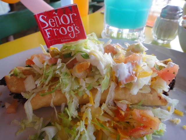 Senor Frogs