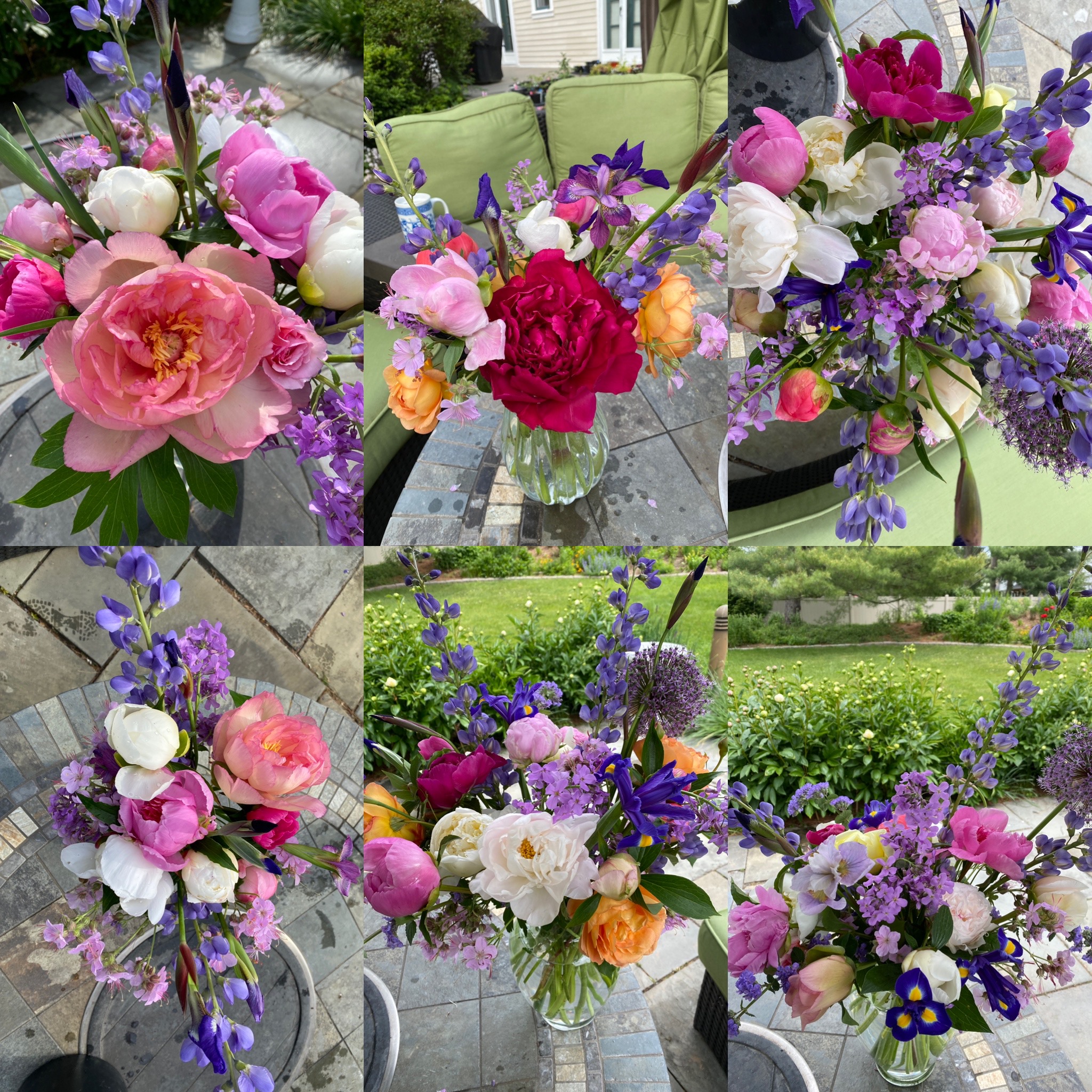 Blue Bell Garden Joy