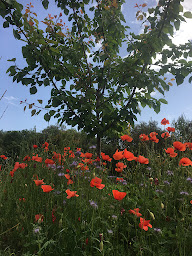 Photo n°20 de Mas des Teullières à Junas (Séminaire)