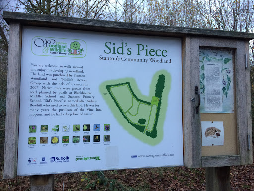 Sid’s Piece woodland walk - Thumbnail