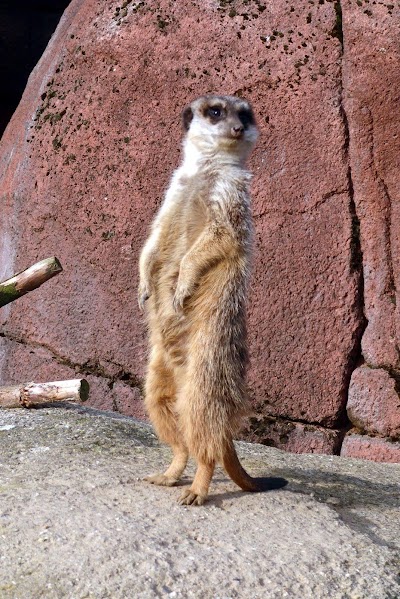 zoo