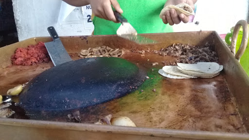Taquería Titanic - Thumbnail