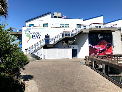 Aquarium of the Bay