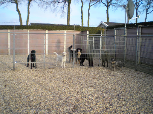 Klein Mezenberg Dierenpension - Thumbnail