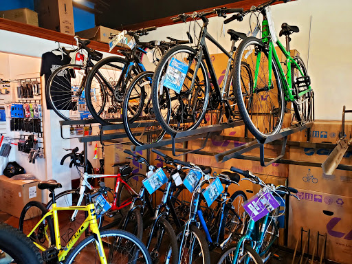 Trinity cyclery - Visual