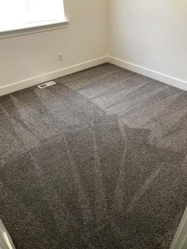 Ever Clean Carpets