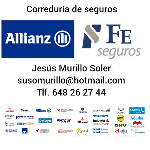 Seguros y Viajes Murillo - Thumbnail