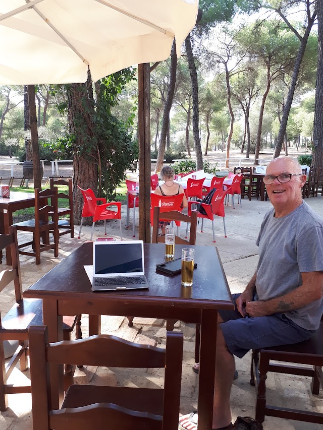 Camping Dehesa Nueva
