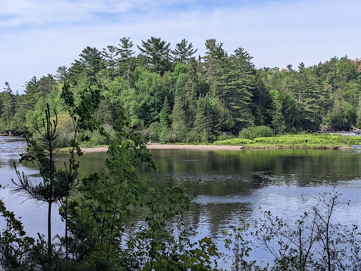 Tahquamenon State Park - Lower Falls Hemlock - Thumbnail