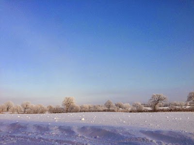 Photos of Sprengercampus