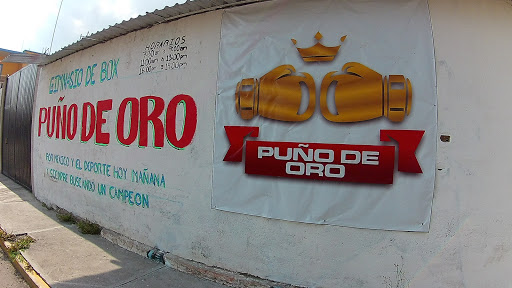 GYM DE BOX PUÑO DE ORÓ - Thumbnail