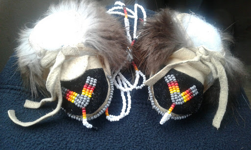 Native Harvest - Visual