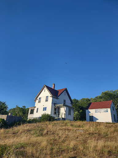 Squirrel Point Light - Visual