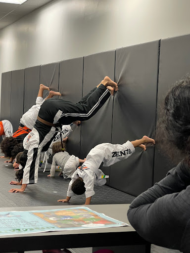 Zentai Martial Arts & Summer Camp - Hackensack - Thumbnail