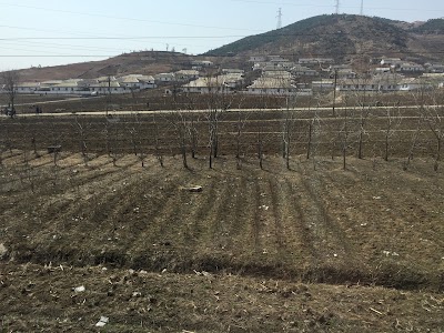 Photos of Gulag 14 Checkpoint