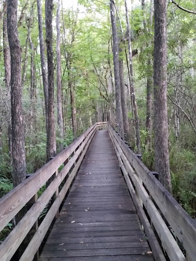 Photos of Six Mile Cypress Slough Interpretive Center