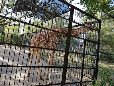 The Jackson Zoo