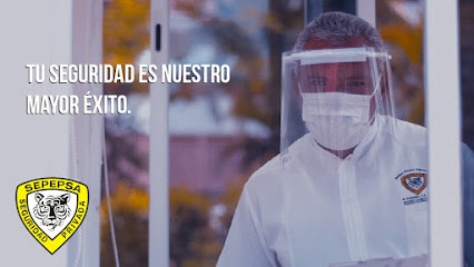 SEPEPSA Seguridad Privada