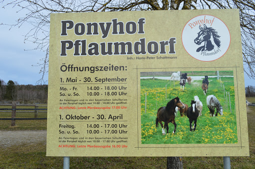 Ponyhof Pflaumdorf - Thumbnail