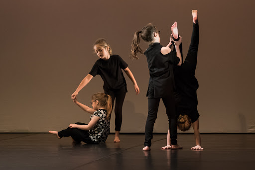 FFIN DANCE - Visual