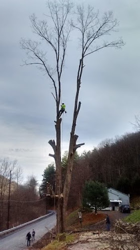 Wade Tree Service, LLC