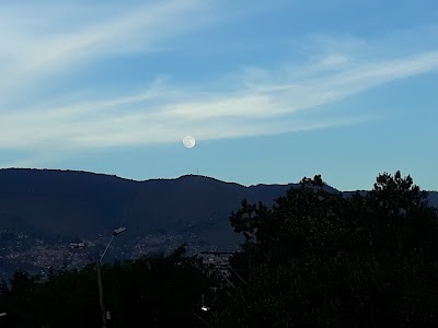 Photos of El Cortijo. Park