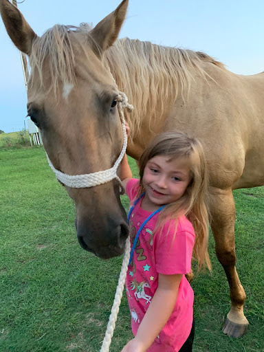 Shiner Animal Hospital