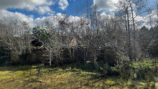 Iniscarn Forest - Thumbnail