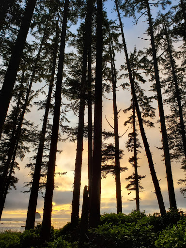 Sand Point - Visual