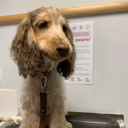 Vets for Pets Barnsley