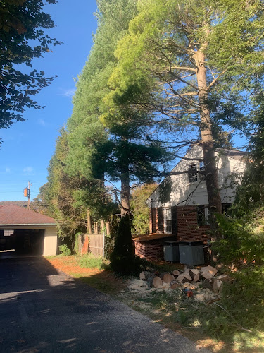 Cross Cut Tree Service